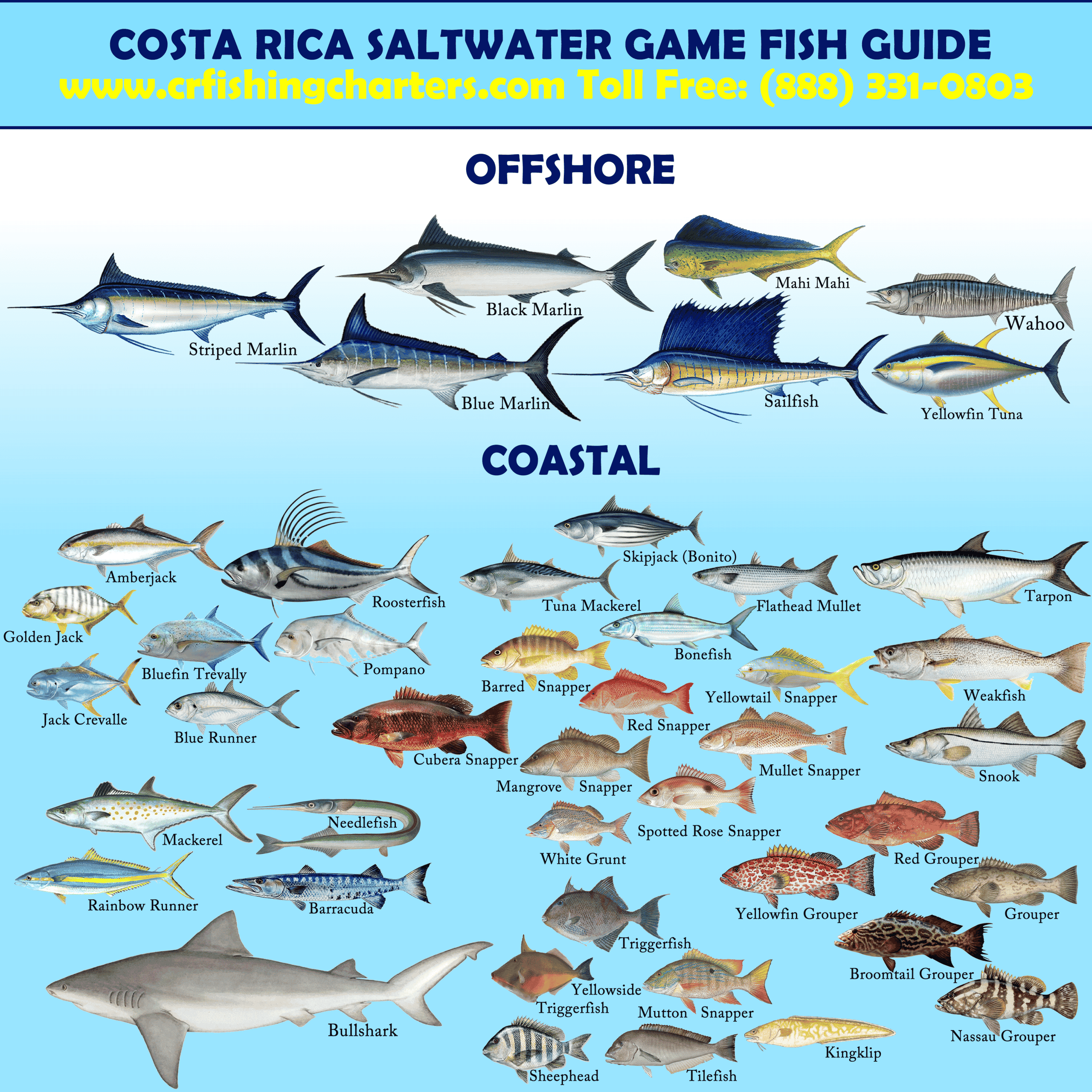 costa rica fish seasons chart