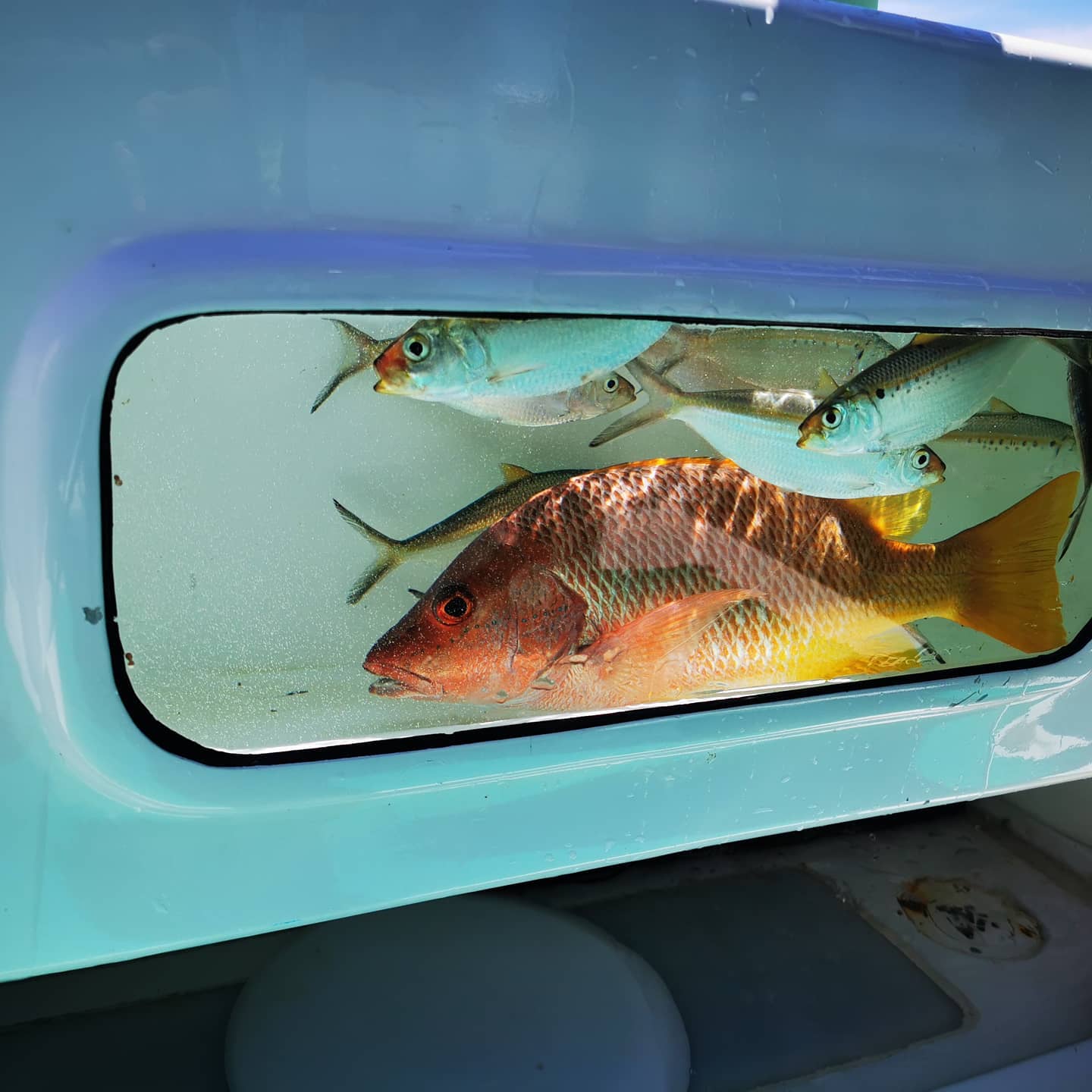 https://www.crfishingcharters.com/wp-content/uploads/2022/11/crfc_costa_rica_fishing_charters_sportfishing_los-suenos_herradura-26-ft-Fish-center-console-Nautique-Fish-Hunter-herradura-jaco-roosterfish.jpg
